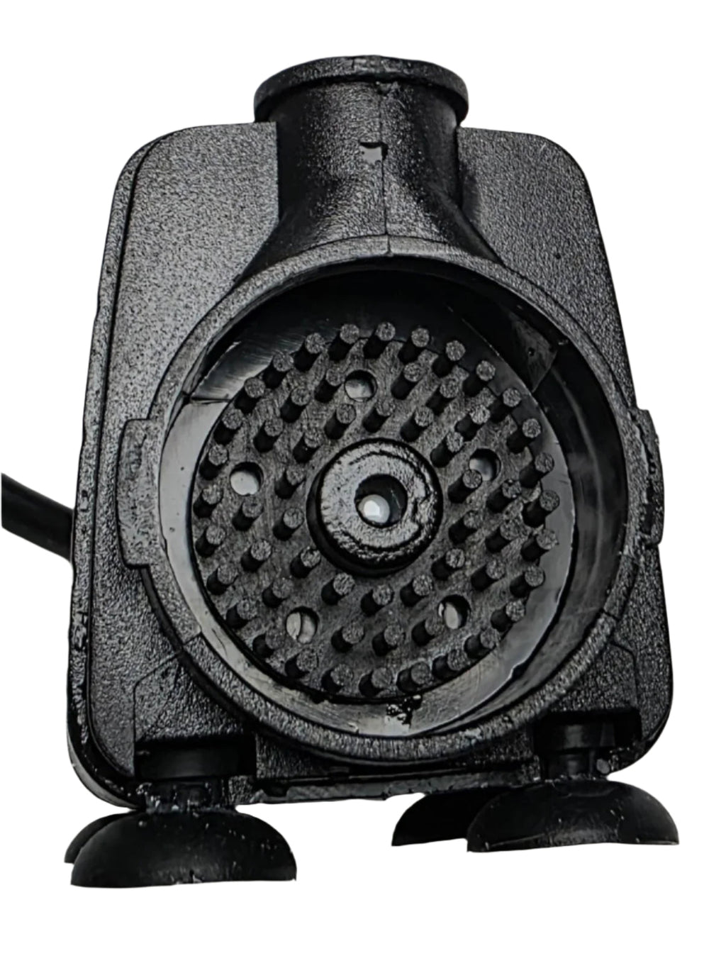 Protein Skimmer