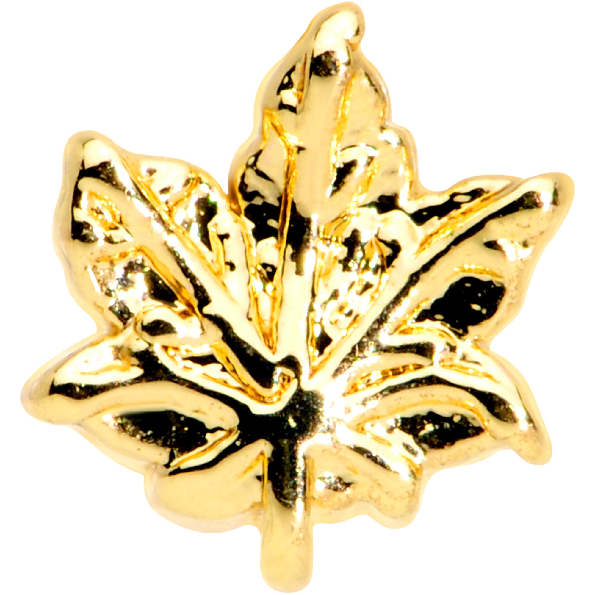 16G 5/16 Gold Tone Pot Leaf Labret Monroe Tragus