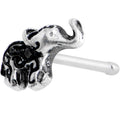 20G 1/4 Earthly Elephant Nose Bone
